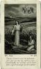 GADEYNE Albert-Arthur (Bosch Julia Maria en Cyriel Gadeyne) front 1.jpg