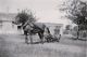 ALOPS01 FEYS Leon Joseph en paard.jpg ALOPS01 FEYS Leon Joseph en paard.jpg